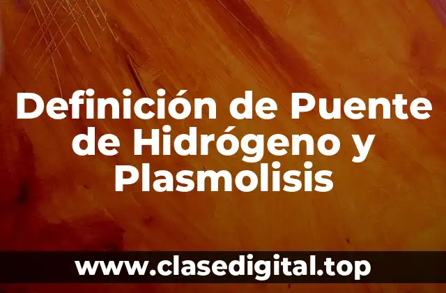 Definición de Puente de Hidrógeno y Plasmolisis