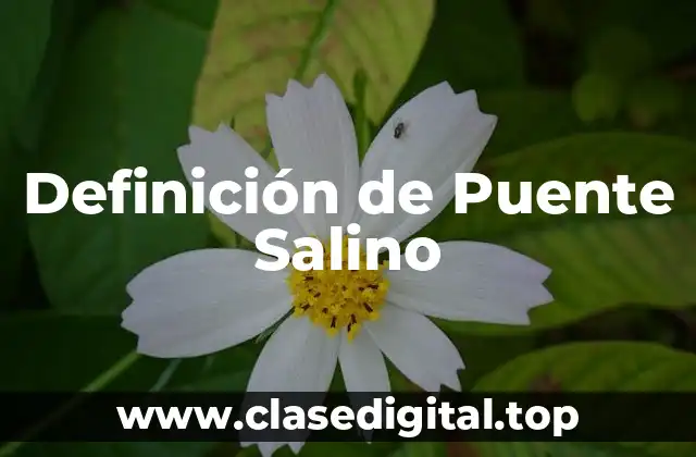 Definición de Puente Salino