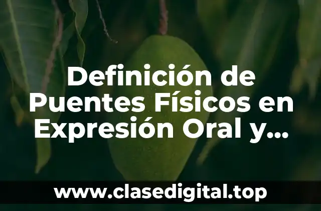 Definición de Puentes Físicos en Expresión Oral y Escrita