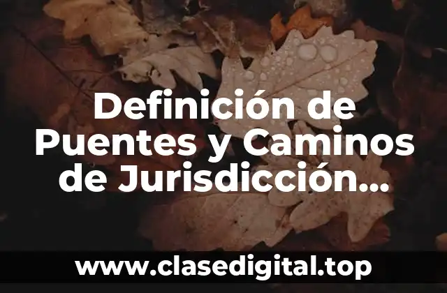 Definición técnica de Puentes y Caminos de Jurisdicción Federal