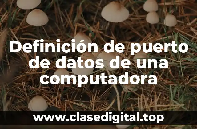 Definición de puerto de datos de una computadora