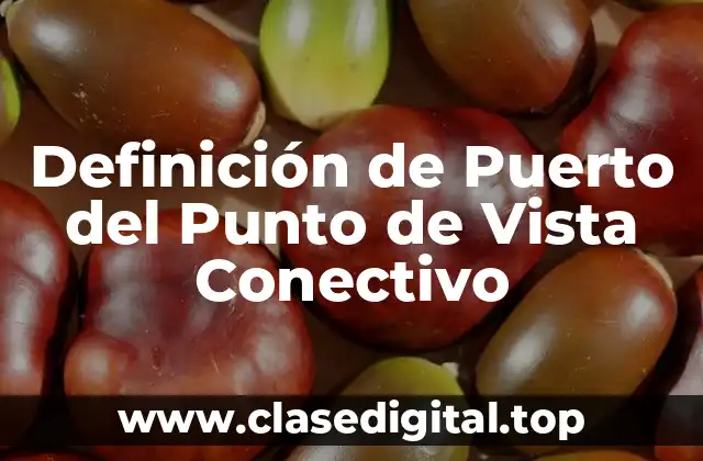 Definición de Puerto del Punto de Vista Conectivo