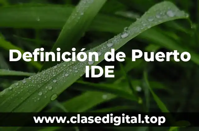 Definición de Puerto IDE