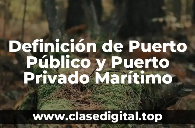 Definición de Puerto Público y Puerto Privado Marítimo