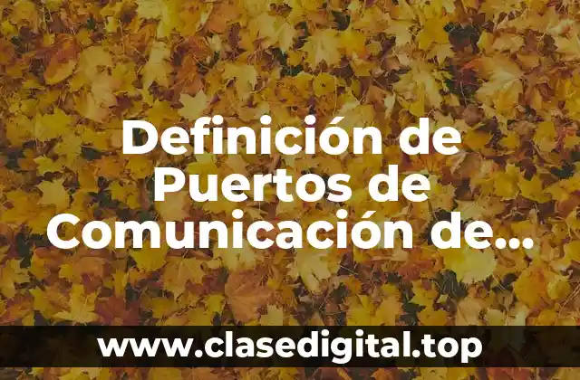 Definición de Puertos de Comunicación de una Computadora