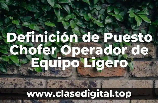 Definición de Puesto Chofer Operador de Equipo Ligero