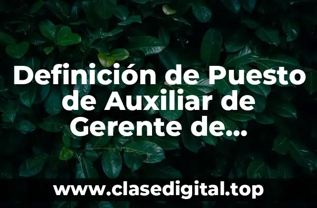 Definición de Puesto de Auxiliar de Gerente de Mercadotecnia