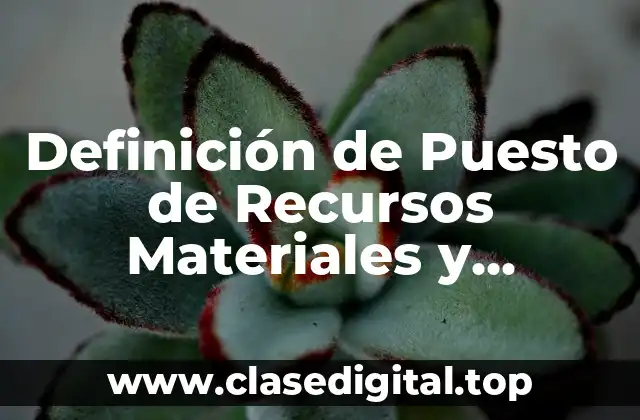 Definición de Puesto de Recursos Materiales y Servicios Generales