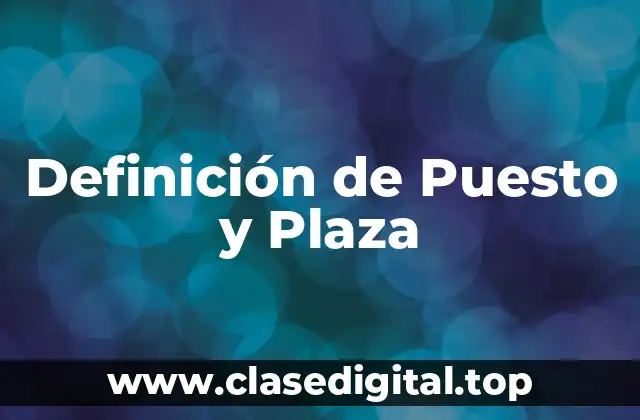 Definición de Puesto y Plaza