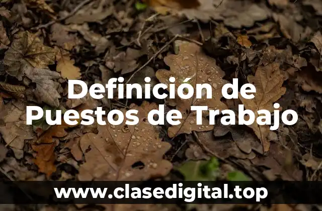 Definición de Puestos de Trabajo