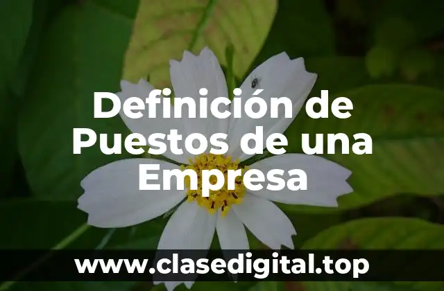 Definición de Puestos de una Empresa