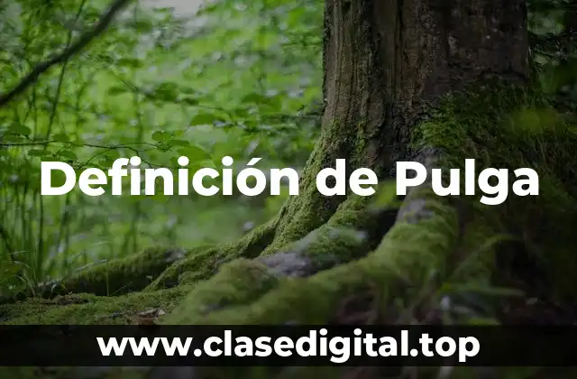 Definición de Pulga