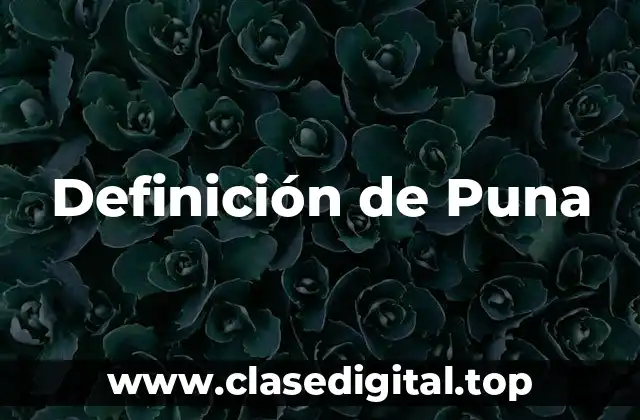 Definición de Puna