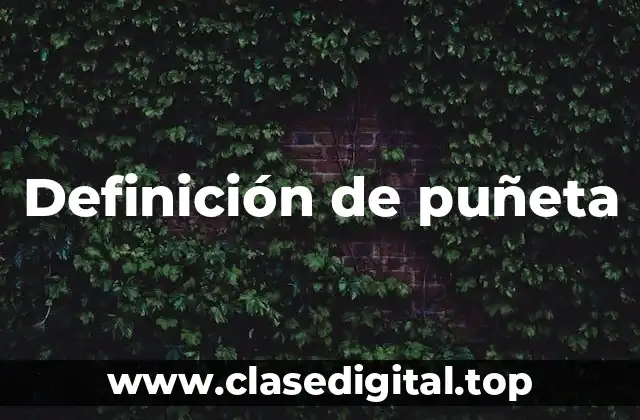 Definición de puñeta