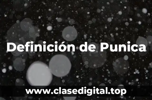 Definición de Punica