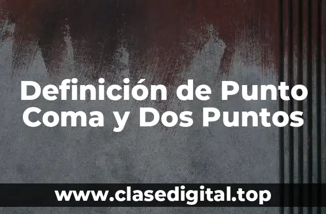 Definición de Punto Coma y Dos Puntos