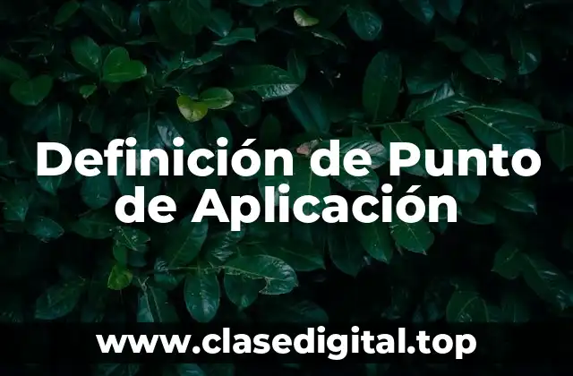 Definición de Punto de Aplicación