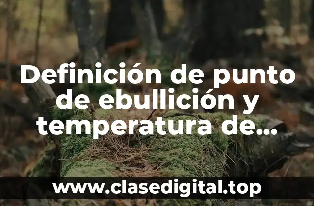 Definición de punto de ebullición y temperatura de ebullición