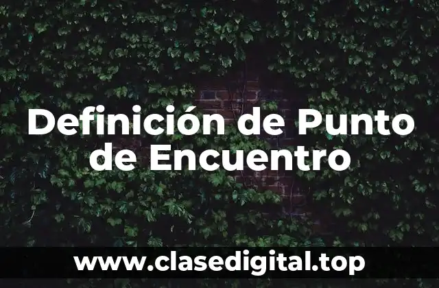 Definición de Punto de Encuentro