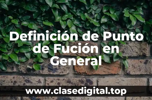 Definición de Punto de Fución en General