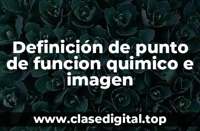 Definición de punto de funcion quimico e imagen
