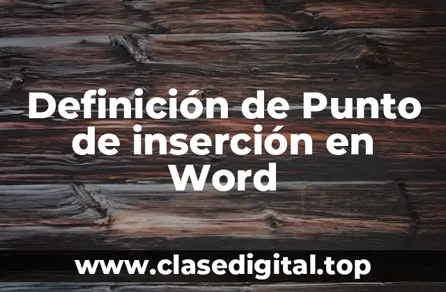 Definición de Punto de inserción en Word