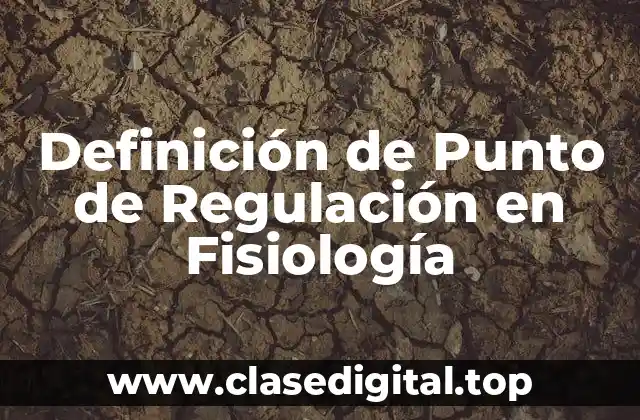 Definición de Punto de Regulación en Fisiología