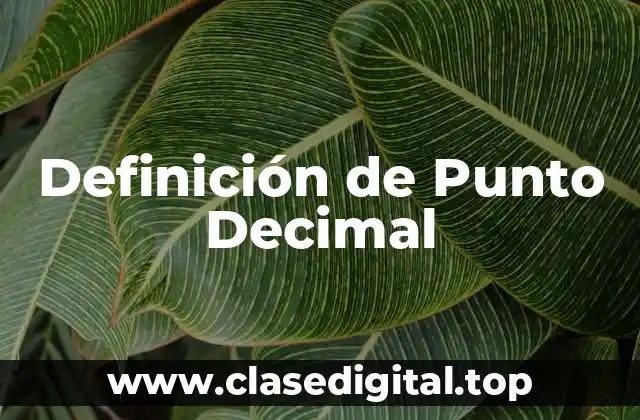 Definición de Punto Decimal