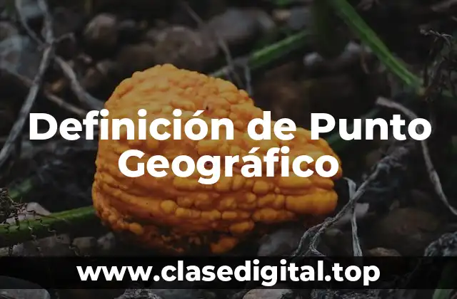 Definición de Punto Geográfico
