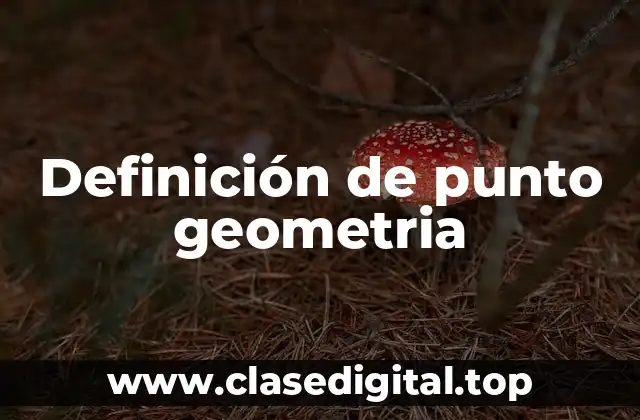 Definición de punto geometria