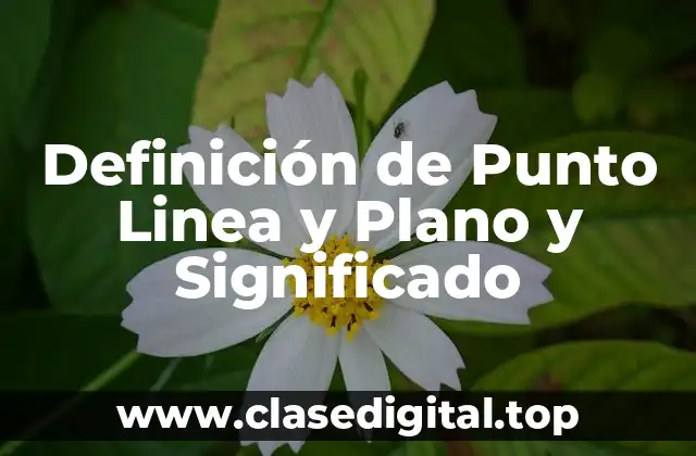Definición de Punto Linea y Plano y Significado