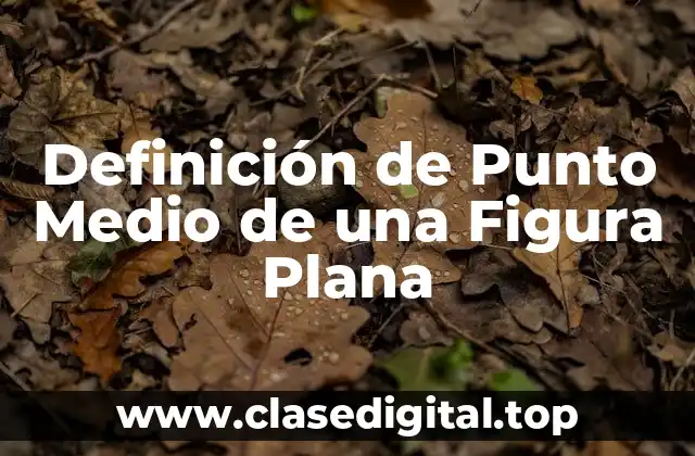 Definición de Punto Medio de una Figura Plana