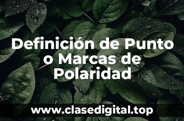 Definición de Punto o Marcas de Polaridad
