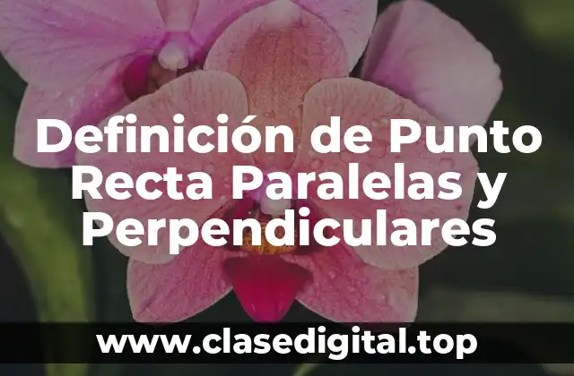 Definición Técnica de Punto Recto, Paralelas y Perpendiculares