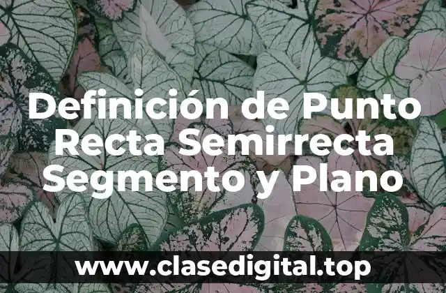 Definición de Punto Recta Semirrecta Segmento y Plano