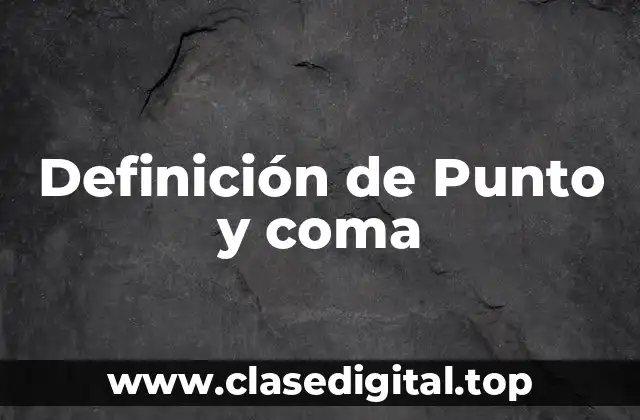 Definición de Punto y coma