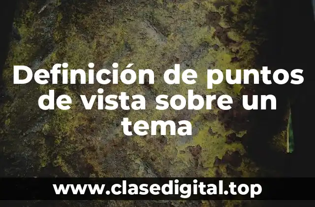 Definición de puntos de vista sobre un tema