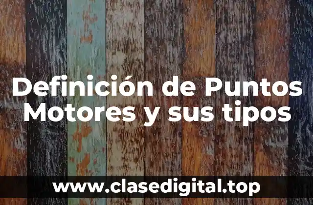Definición de Puntos Motores y sus tipos