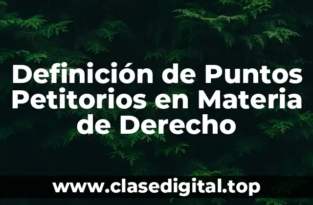 Definición de Puntos Petitorios en Materia de Derecho