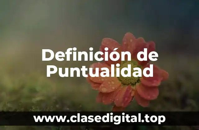 Definición técnica de Puntualidad