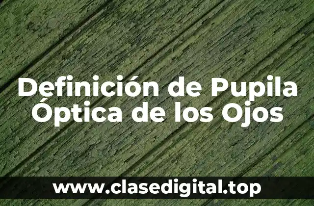 Definición de Pupila Óptica de los Ojos
