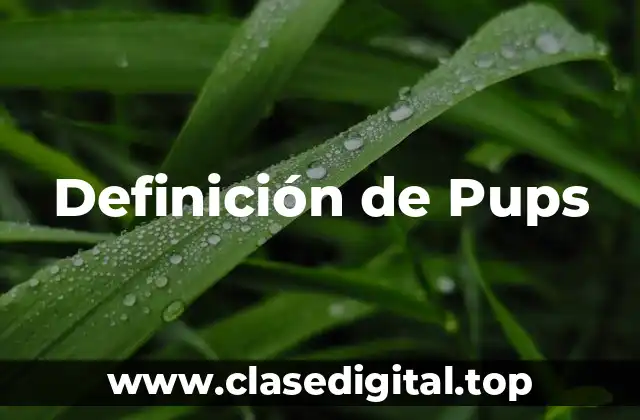 Definición de Pups