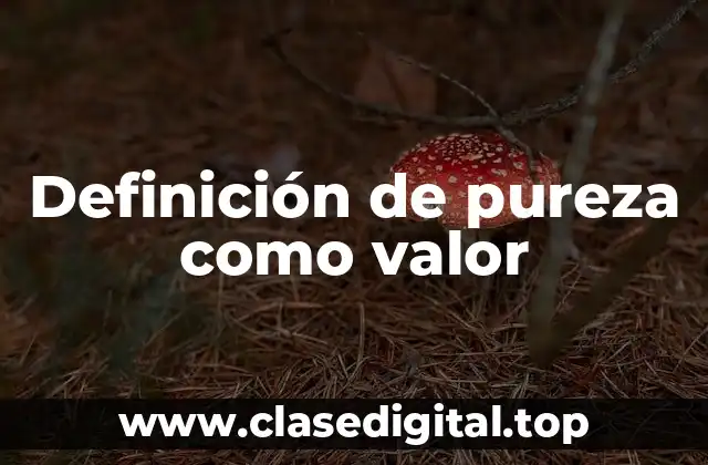 Definición de pureza como valor