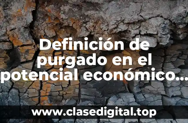 Definición de purgado en el potencial económico del proceso