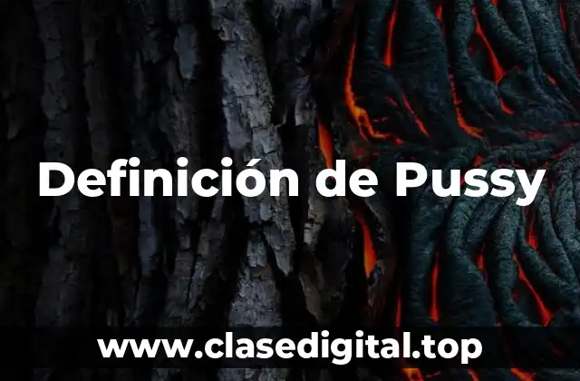 Definición de Pussy