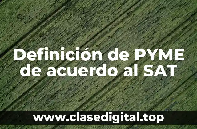 Definición de PYME de acuerdo al SAT