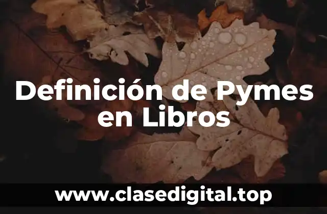 Definición de Pymes en Libros