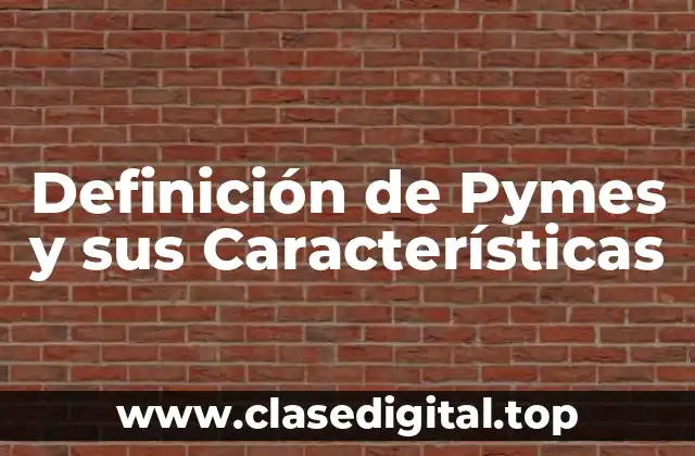 Definición de Pymes y sus Características