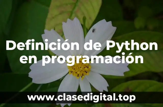 Definición de Python en programación