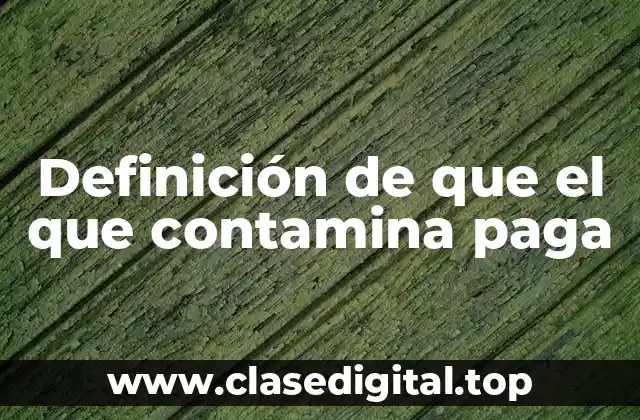 Definición de que el que contamina paga